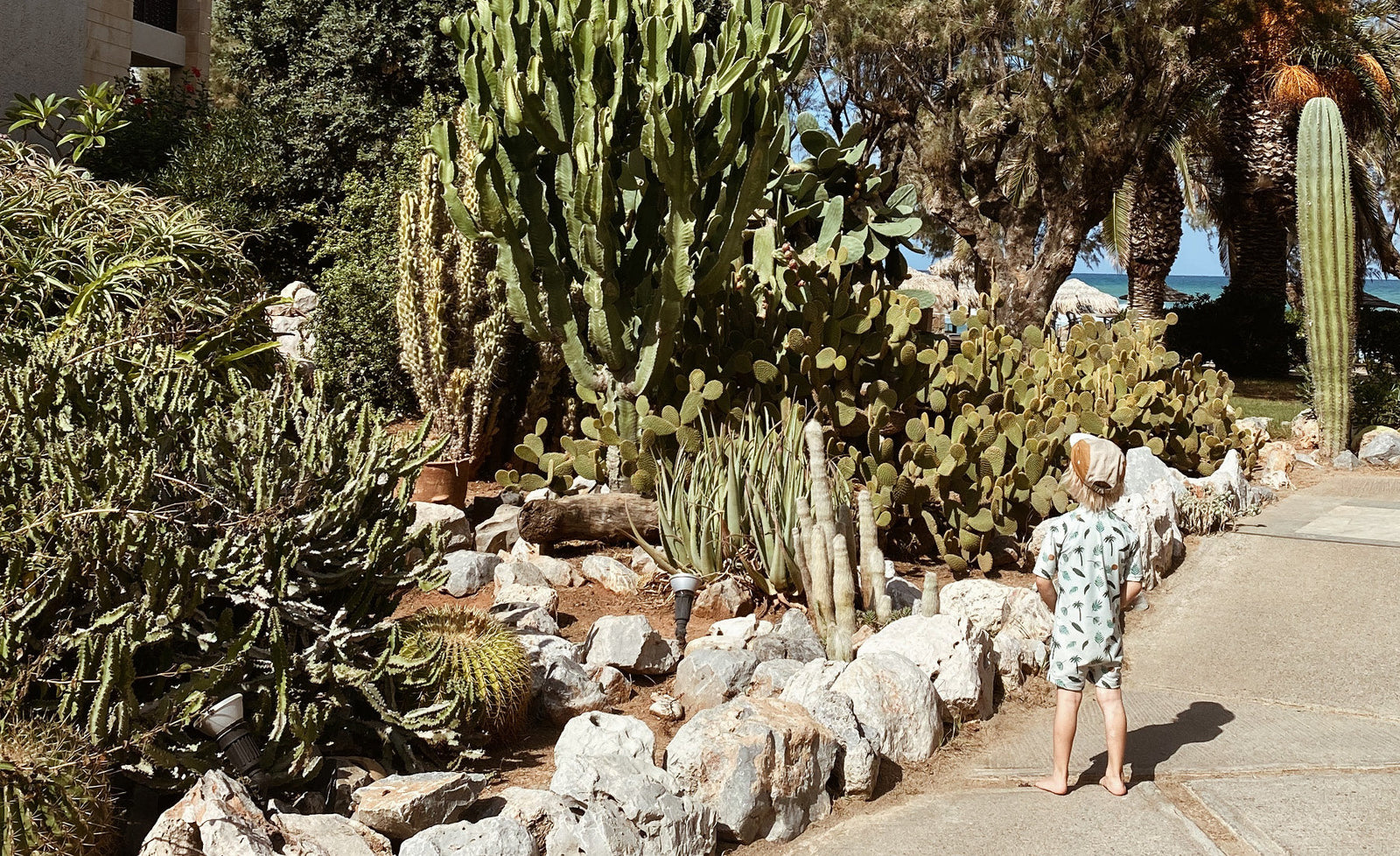 Das Cretan Malia Park Familienresort auf Kreta