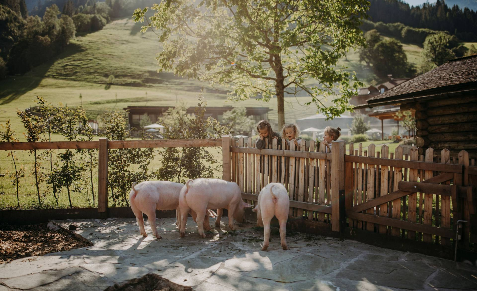 Familienurlaub Tipp: Moar Gut