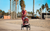 Cybex Avi