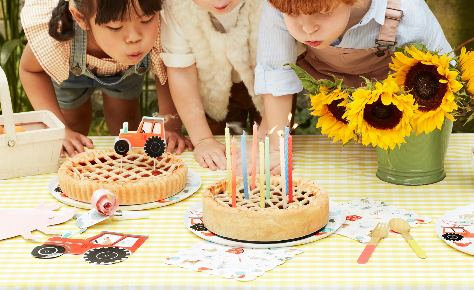 Auf dem Bauernhof Kindergeburtstagsdeko
