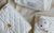 Cam Cam Unterwegs mit Baby