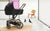 Cybex Must Haves
