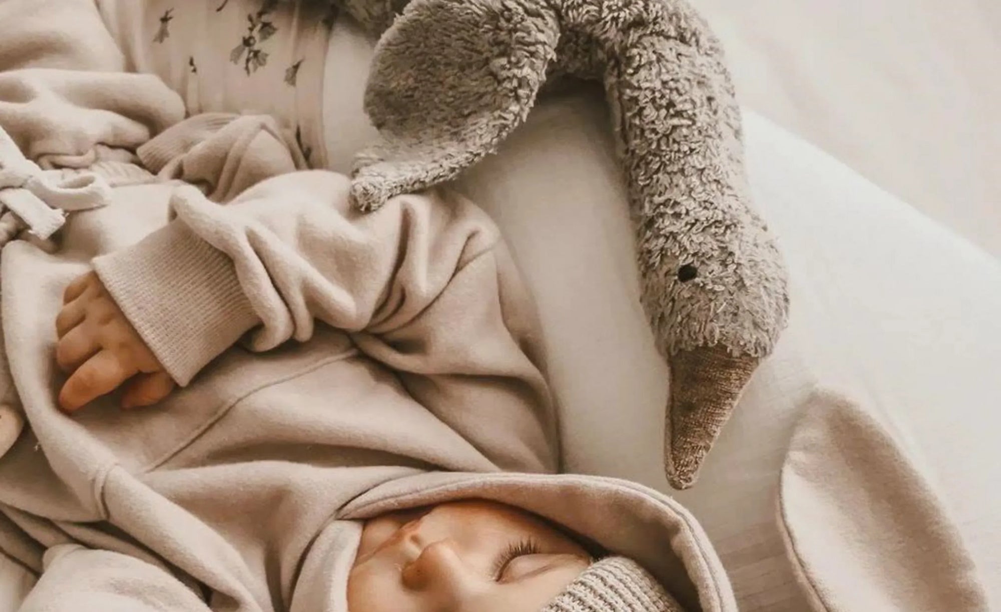 Kuscheltiere