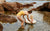 Planschbecken & Schwimmringe