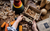 Wooden Story