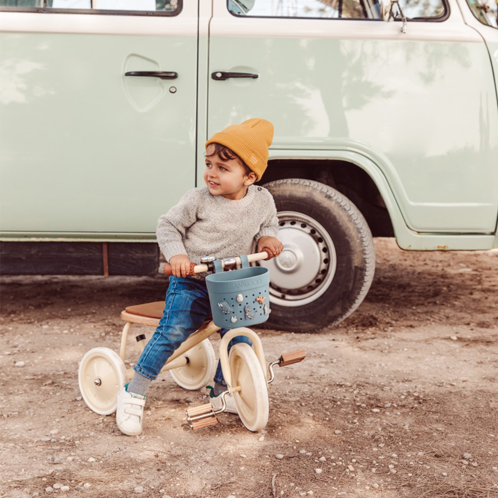 Banwood  Korb 'Pin & Ride' Teal