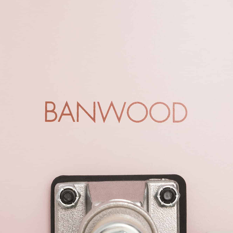 Banwood Skateboard Pink mit Logo