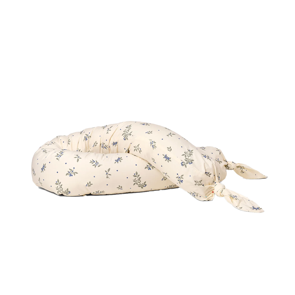 Dear April Bettschlange 'Skye' Blueberries