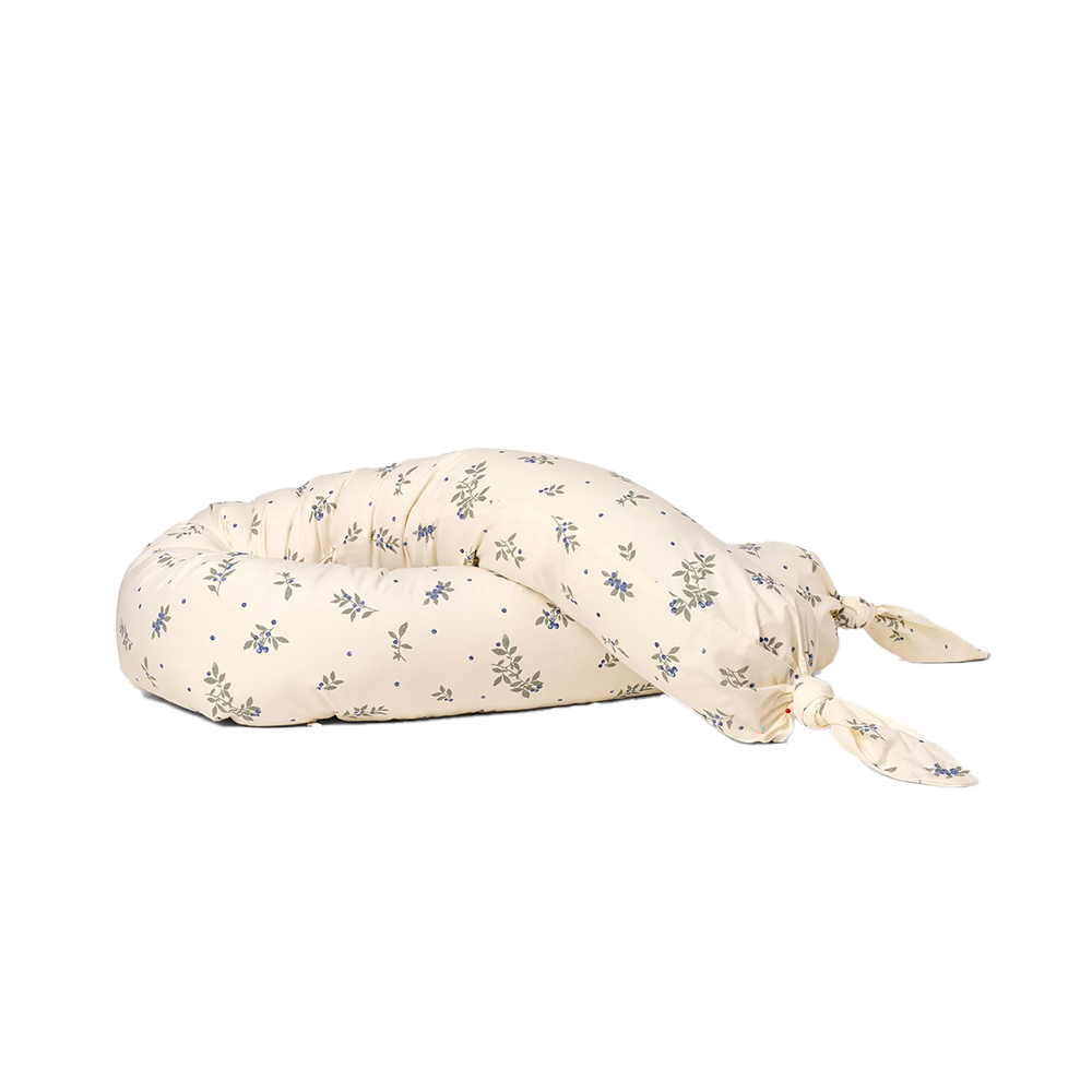 Dear April Bettschlange 'Skye' Blueberries