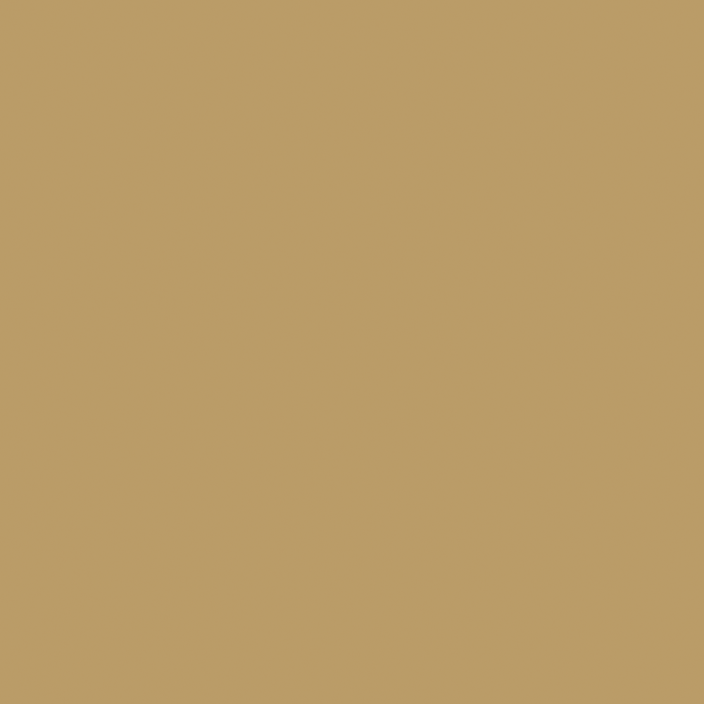 Farrow & Ball Modern Emulsion Duster 319