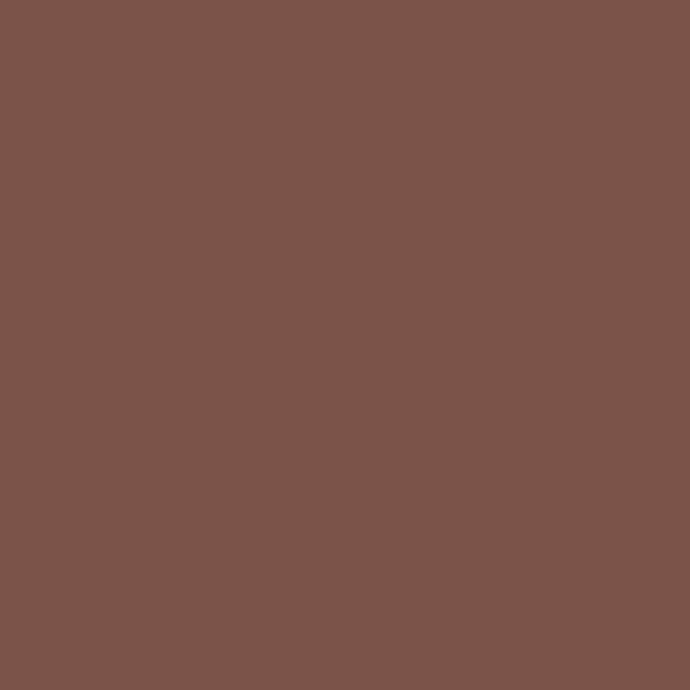 Farrow &amp; Ball Exterior Eggshell Etruscan Red 56