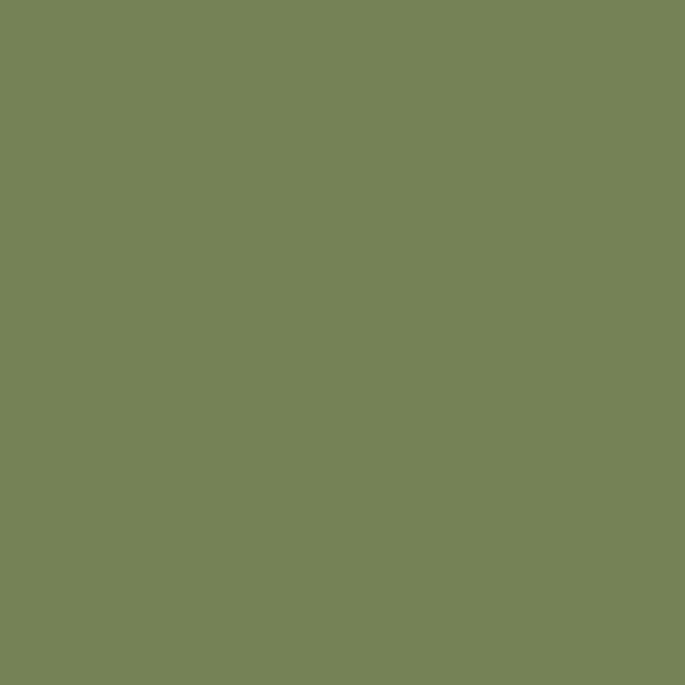 Farrow &amp; Ball  Estate Emulsion  Sap Green 199
