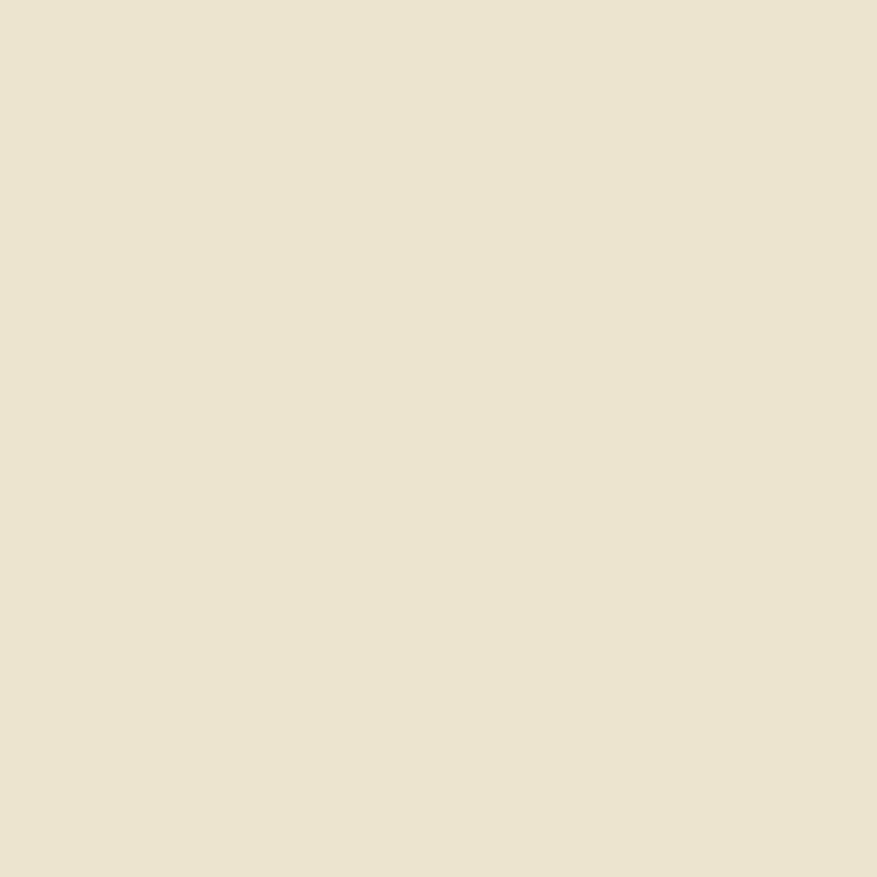 Farrow & Ball Dead Flat Skimming Stone 241
