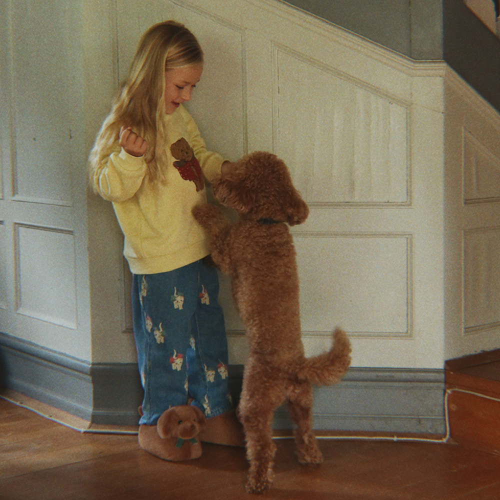 Konges Sløjd Pullover 'Puppy' Shake it