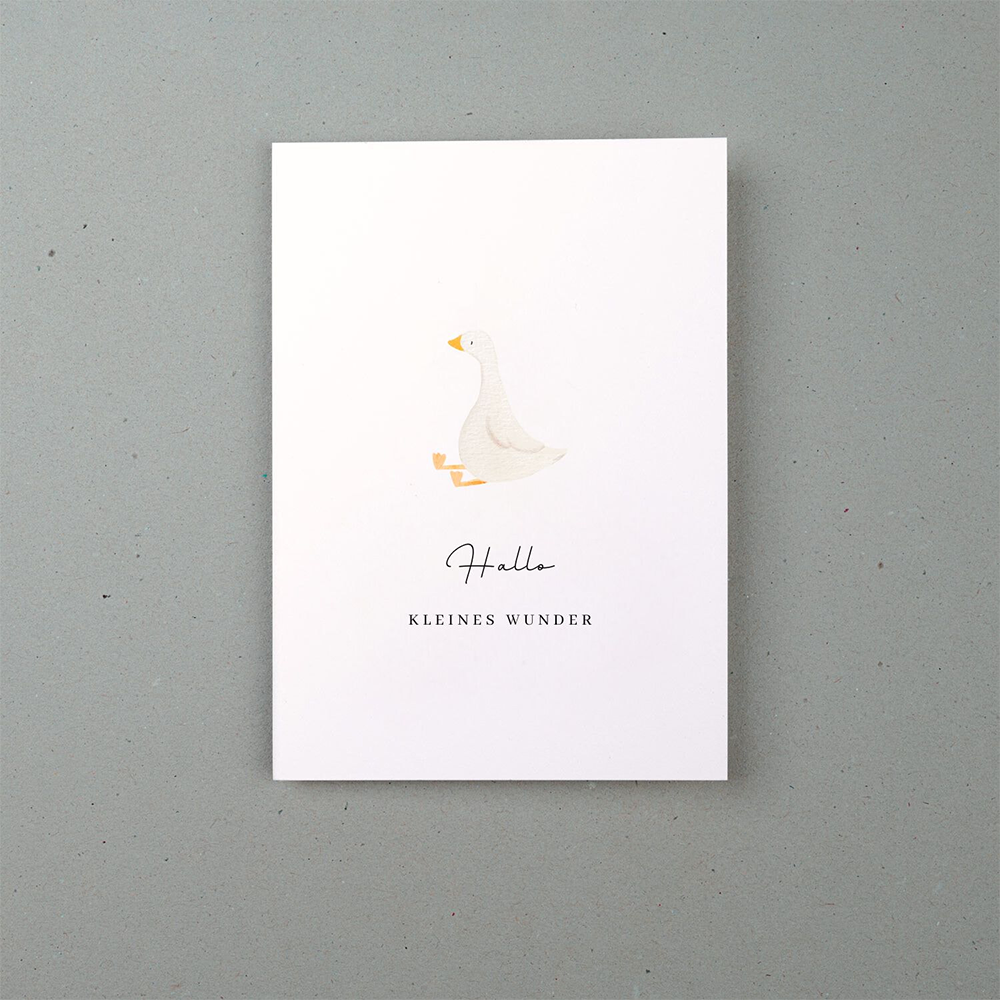 Liljendal Grusskarte Geburt & Baby 'Hallo kleines Wunder' Gans