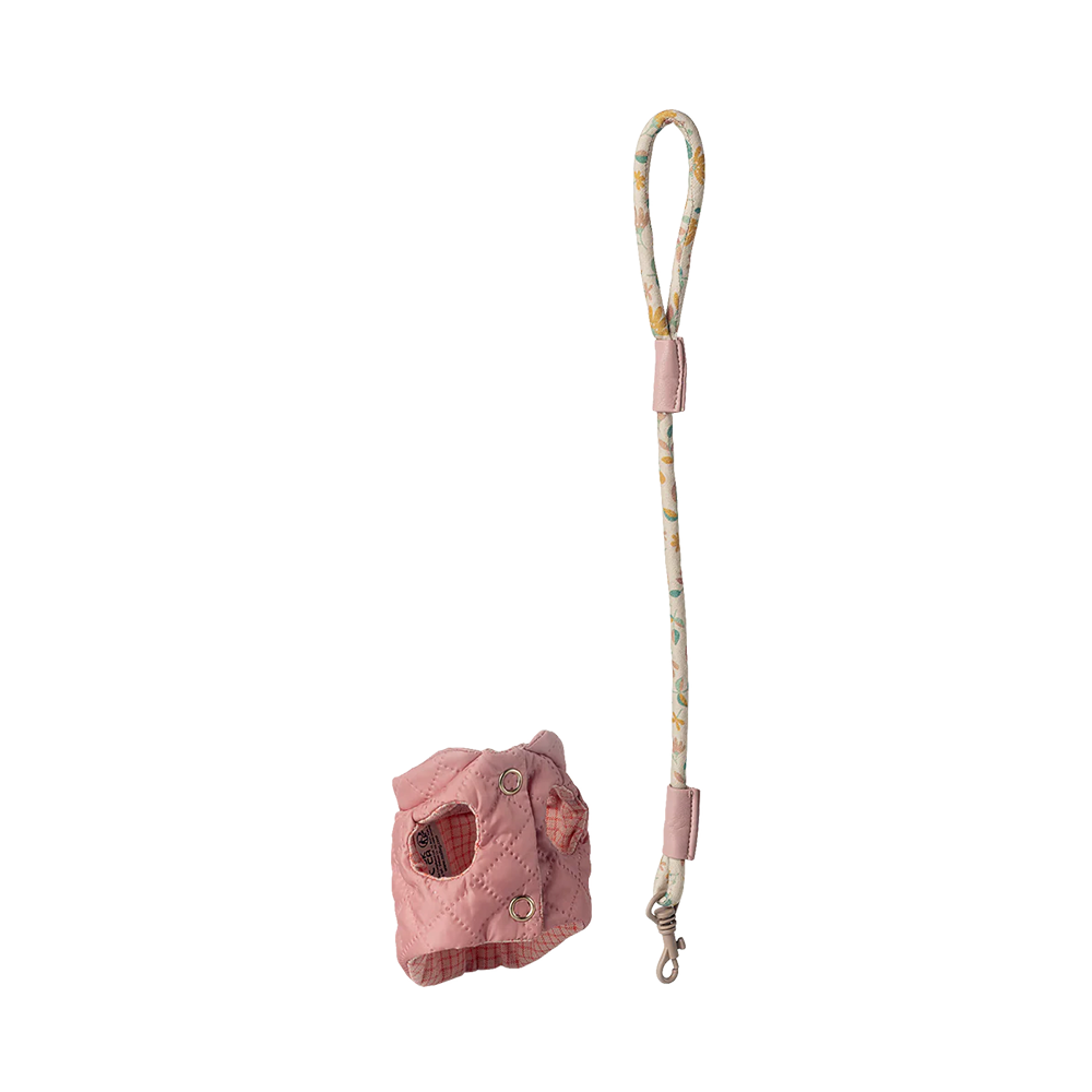 Vaisselle et laisse Maileg "Pet Supply" Rose