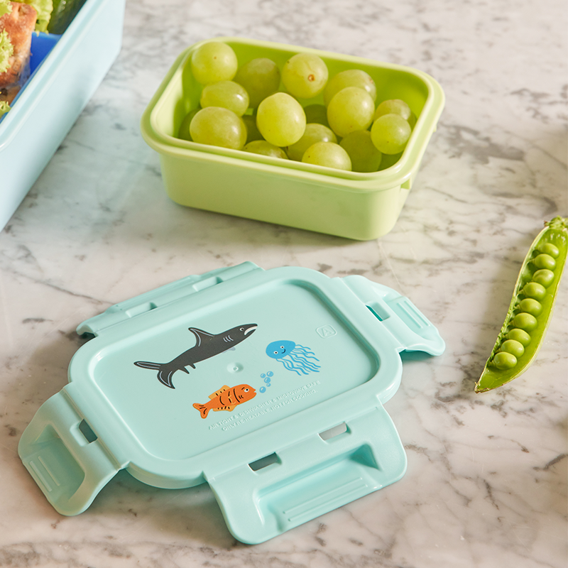 Rice  Kinder Lunchbox Klein &#39;Wildlife&#39; Mint