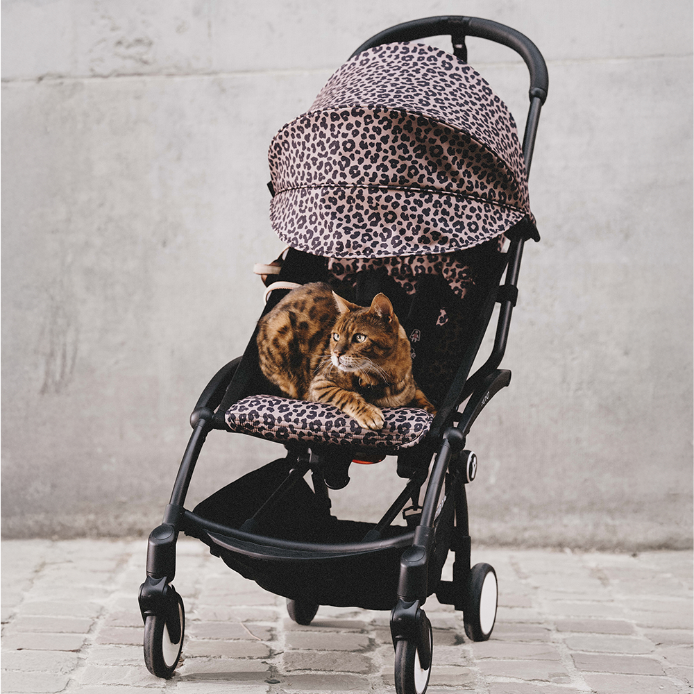 Stokke YOYO³ 6+ &#39;Wild Collection&#39; Black/Leopard