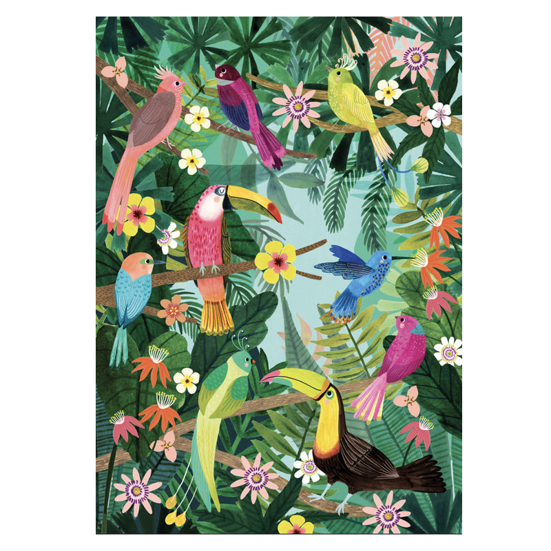 Petit Monkey  Poster  Rain Forest Birds