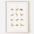 Mushie  Poster 50 x 70 cm  Dinosaurs