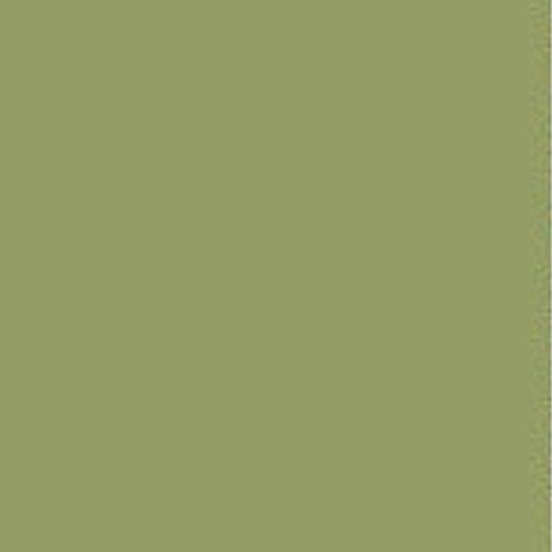 Farrow & Ball Modern Emulsion Archive Olive 13